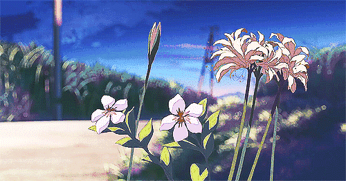 5 Centimeters Per Second Gif - Gif Abyss