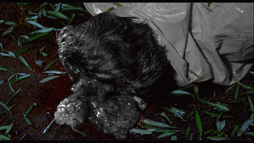The Return of the Living Dead Gif