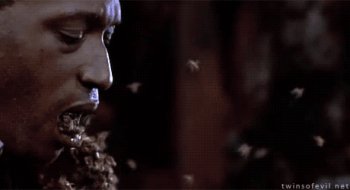 Gif ID: 81312
