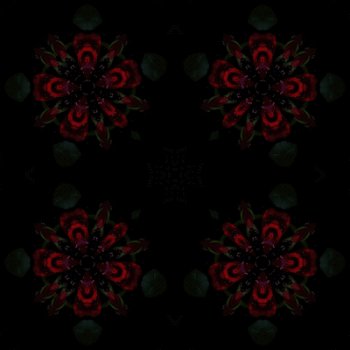 Download Abstract Pattern Gif
