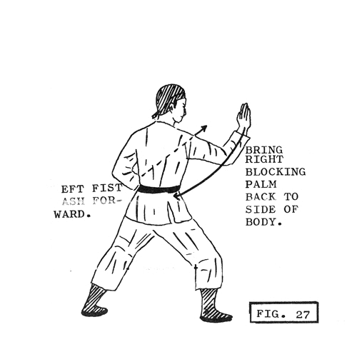 Martial Arts Gif Gif Abyss