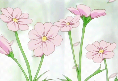 Flower gifs in anime  Anime Amino