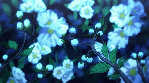 red water lunacle girl rose anime flower manga black HD wallpaper   Peakpx
