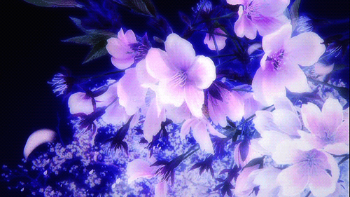 Blue love and flowers gif anime 2044850 on animeshercom
