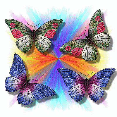 Artistic Butterfly Gif