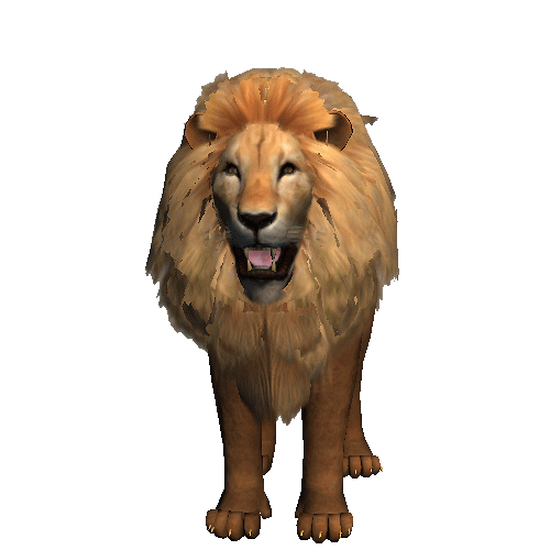 Image result for animated lion gif