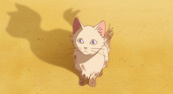 Gif ID: 89236