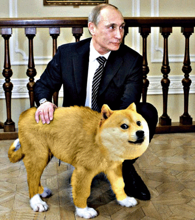 Vladimir Putin Gif