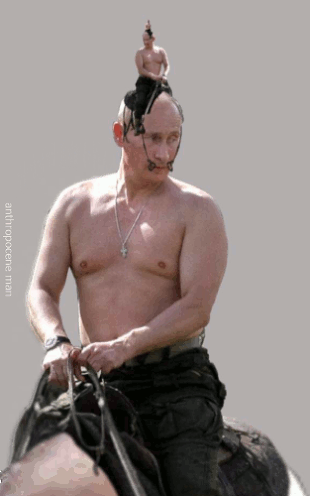 Celebrity Vladimir Putin Funny Humor President Russia Gif. 