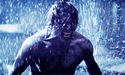 94843.gif