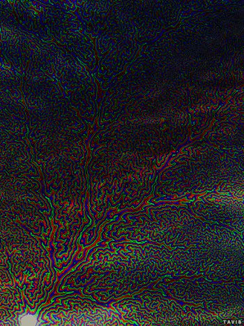 Download Pattern CGI Abstract Fractal Gif