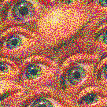 Neon Fractal Eye — Animated CGI Pattern - Gif Abyss