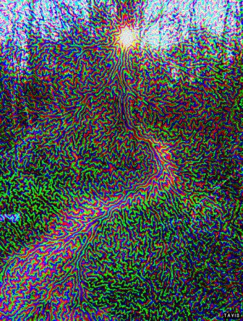 Download Pattern CGI Abstract Fractal Gif - Gif Abyss