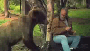Man Punches Bear In The Face