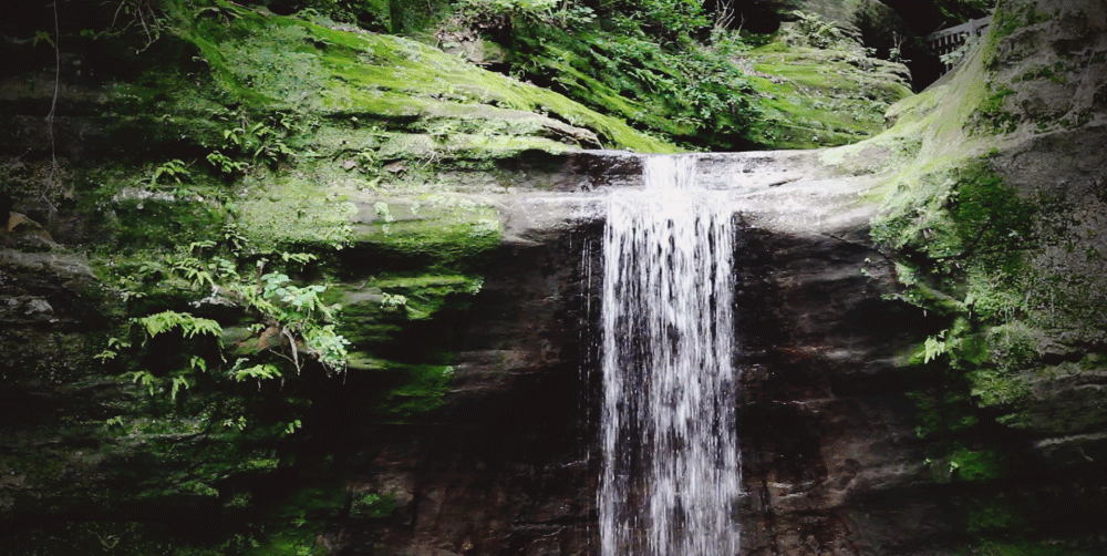 Лучшее видео живых. Синемаграфия водопады. Гифки природа. Звучащая природа. Водопад гиф.